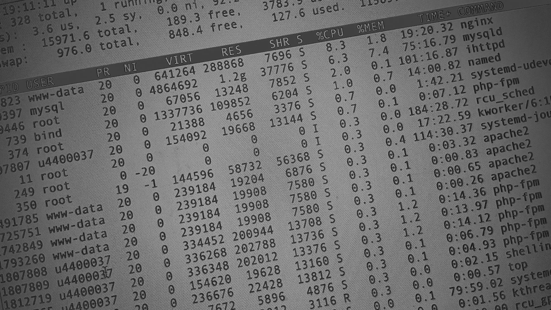 Настройка сервера в Ростове-на-Дону