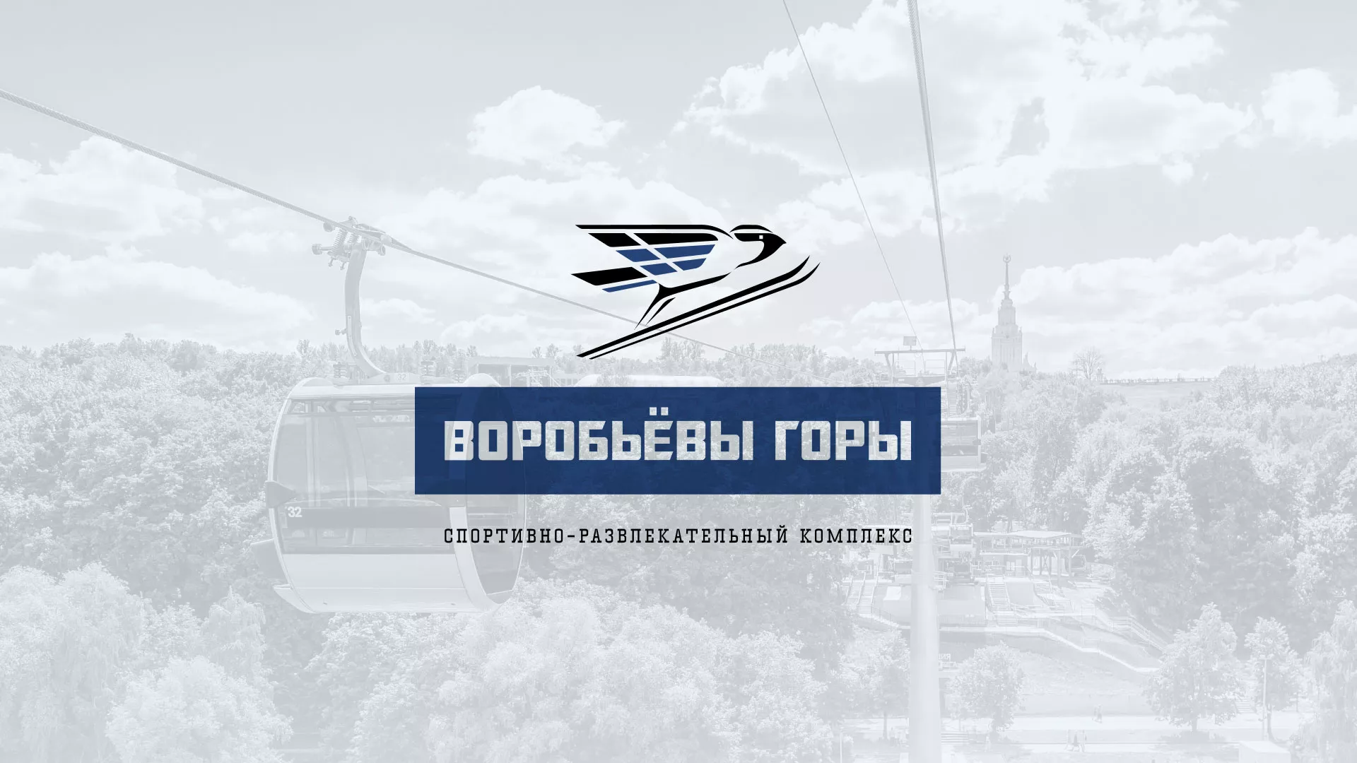 Разработка сайта в Ростове-на-Дону для спортивно-развлекательного комплекса «Воробьёвы горы»